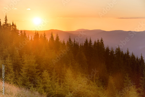 Sunset in the mountains with forest and big shining sun on dramatic sky © Pavlo Vakhrushev