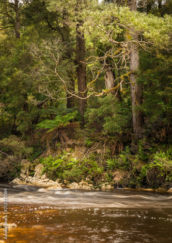 Rapid river, Tasmania