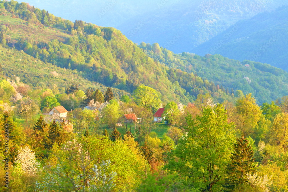 Village in forest, spring landscape, Bosnia and Herzegovina