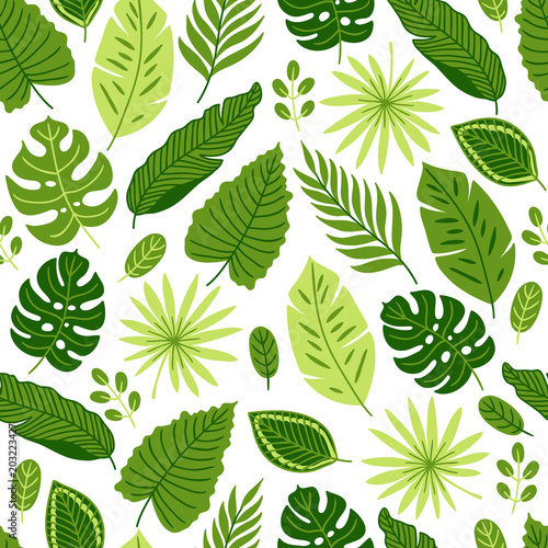 Jungle seamless pattern with palm, monstera and tropical leaves © miumi