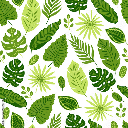 Jungle seamless pattern with palm, monstera and tropical leaves