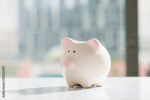 Lovely pink piggy bank standing by the window