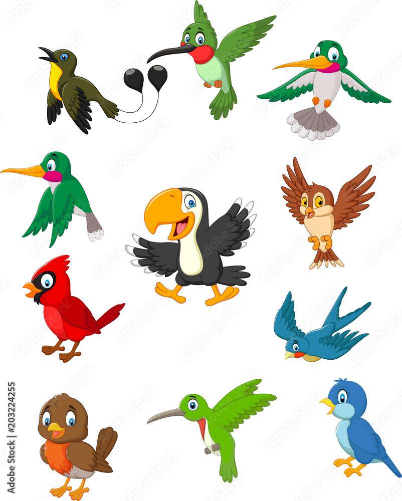 Cartoon birds collection set Cartoon birds collection set