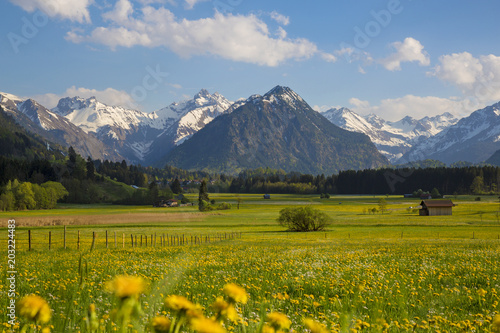 Allg  u - Fr  hling - Oberstdorf - Berge - Alpen - Wandern - Landschaft