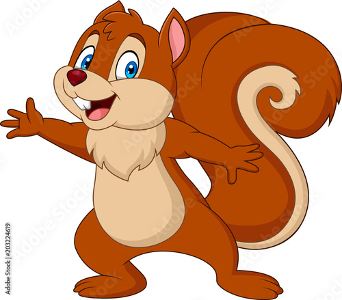 Cute squirrel cartoon
