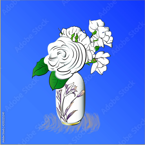美しい白い薔薇a_white_rose