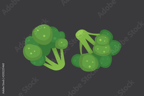 broccoli cartoon vector illustration. ripe brocolli cabbage vegeterian fresh food © denis08131