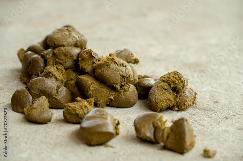 Fototapeta Naklejka Na Ścianę i Meble -  feces horse big.