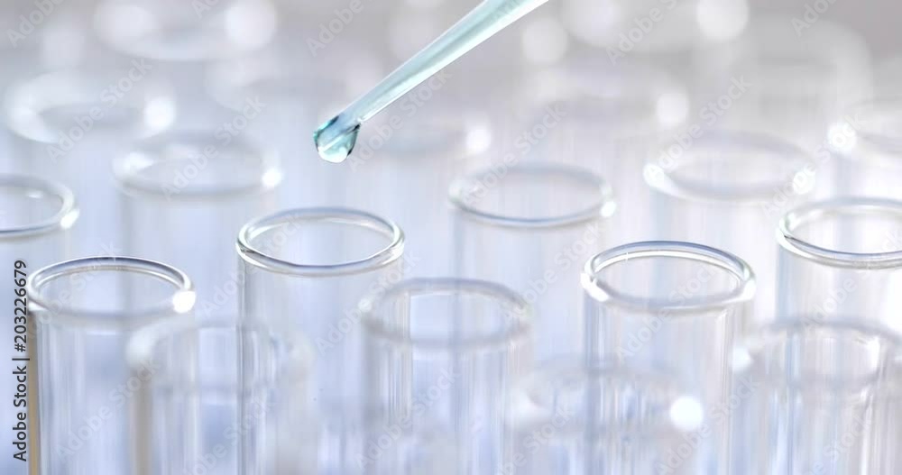 Laboratory scientist working with a pipette analyzes Laboratory scientist working with a pipette analyzes