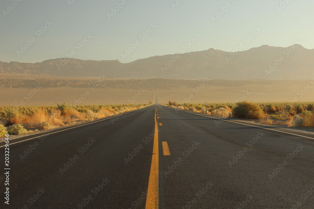 Road to arizona