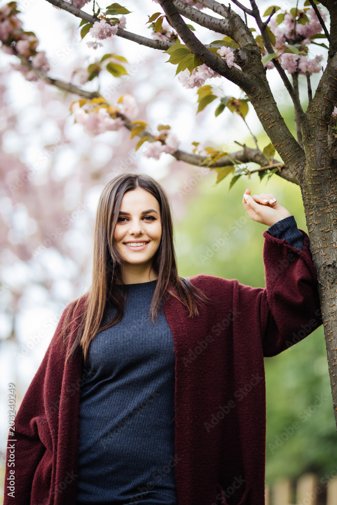 Spring flowering. Young woman near pink flowering sakura tree outdoors in the street. Spring flowering. Young woman near pink flowering sakura tree outdoors in the street.
