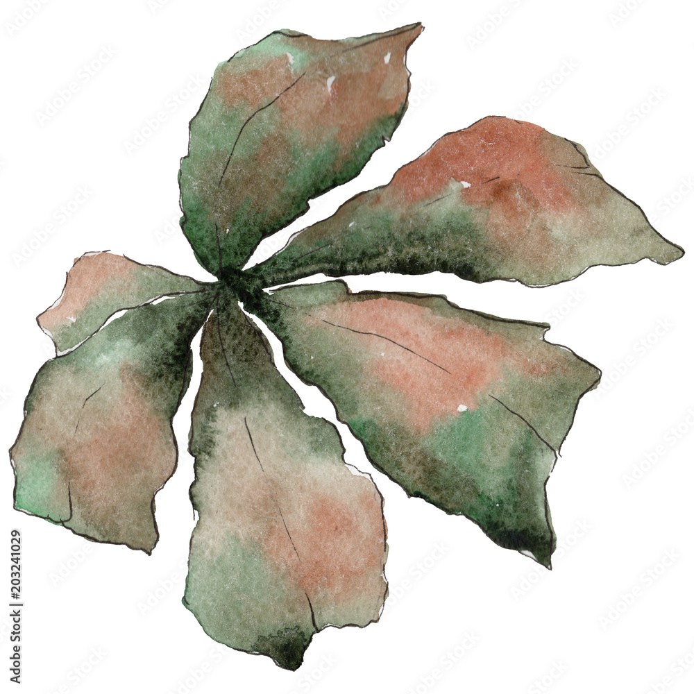 Obraz premium Chestnut leaves in a watercolor style isolated. Aquarelle leaf for background, texture, wrapper pattern, frame or border.