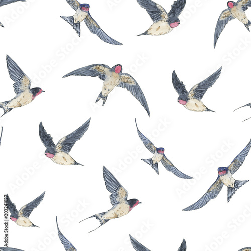 hand drawn painted seamless pattern of watercolor sketch of isolated birds swallow on white background
