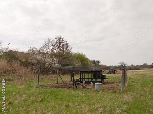 outside chicken hen coup fence gate farm field nature © Callum