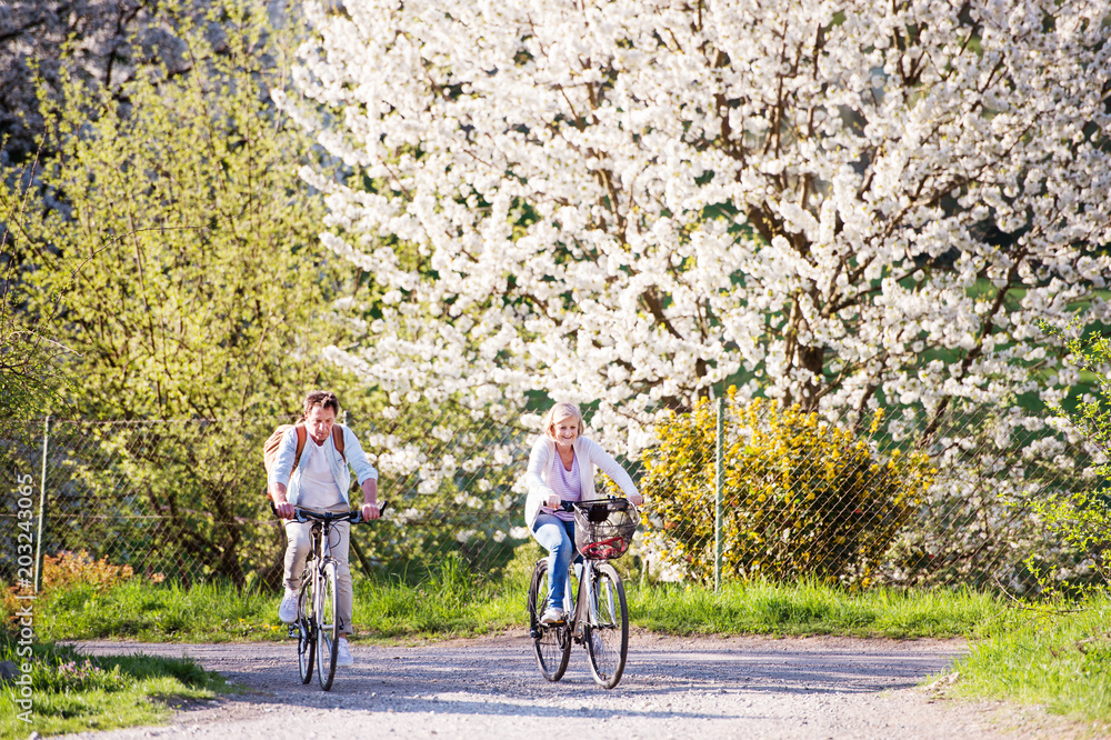Obraz premium Beautiful senior couple with bicycles outside in spring nature.