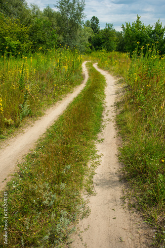 road on sandy soil in a meadow near the forest.