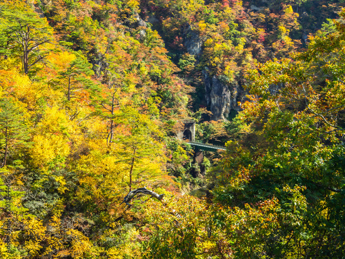 Autumn season landscape with colorful mountain, forest, railway and train 's tunnel.