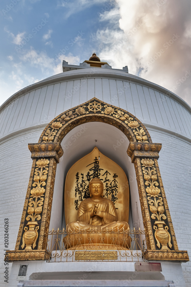 Obraz premium Buddha's image in dharmachakra mudra