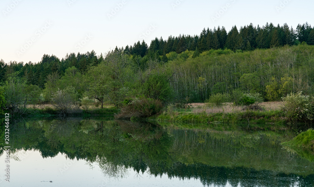 Mud Bay Before Sunset