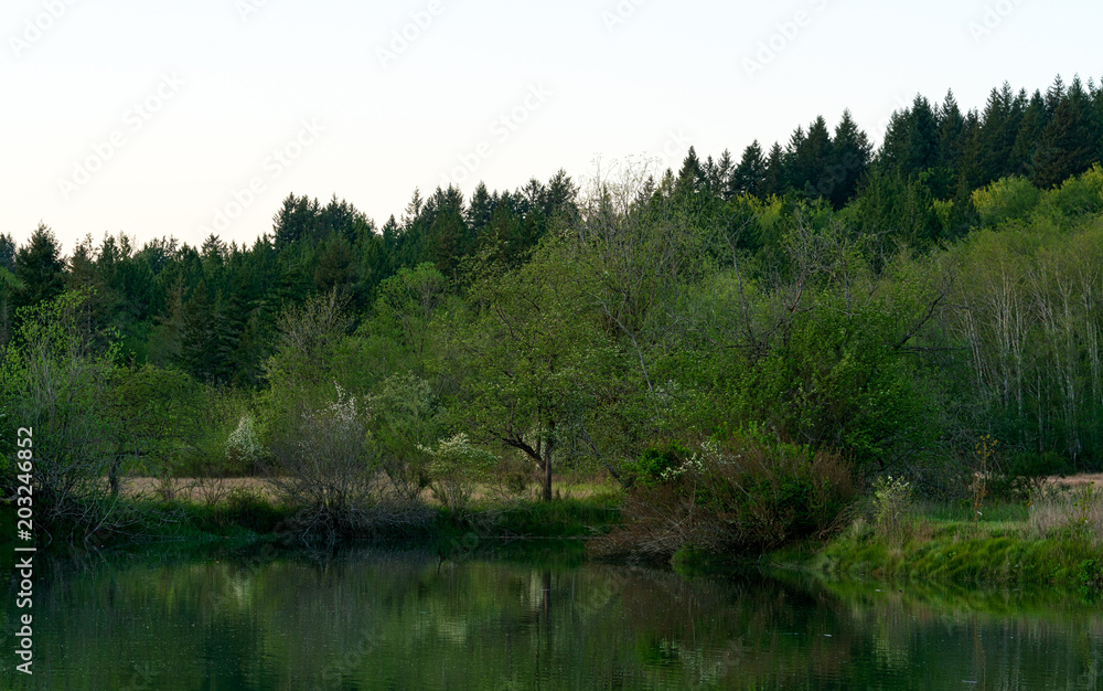 Obraz premium Mud Bay Before Sunset