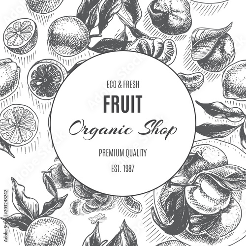 Vector sketch background fruit. Citrus - bergamot, lemon, orange, lime, tangerine, tangelo, grapefruit.