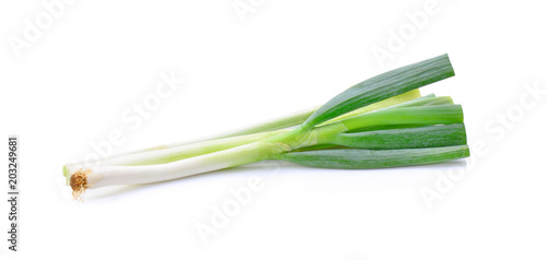 Japanese onion  on white background