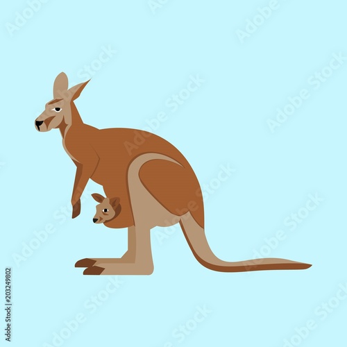 icons about Animal with kind  white  pocket  wallaby and zoo