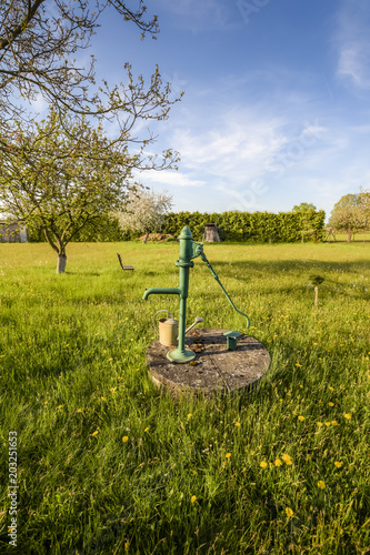 Old water pump on the blooming garden.