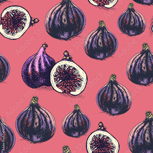 Vector hand drawn fruit pattern. Card with fig.