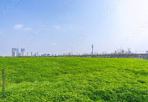 green grass with city skyline