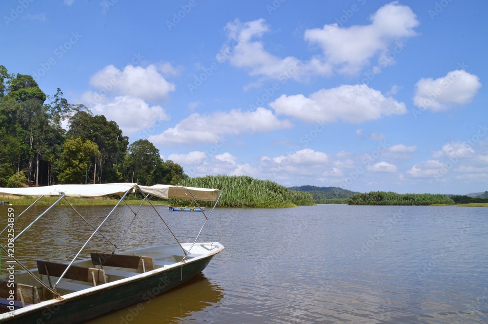 Obraz premium the boat at the lake