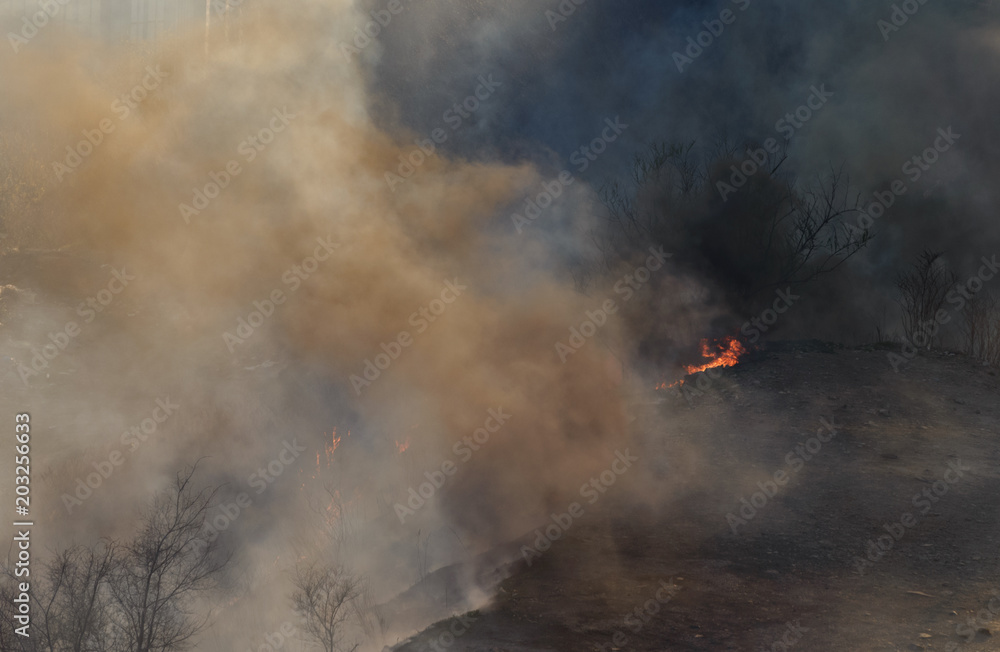 Dry grass burning in the street. Dry grass burning in the street.