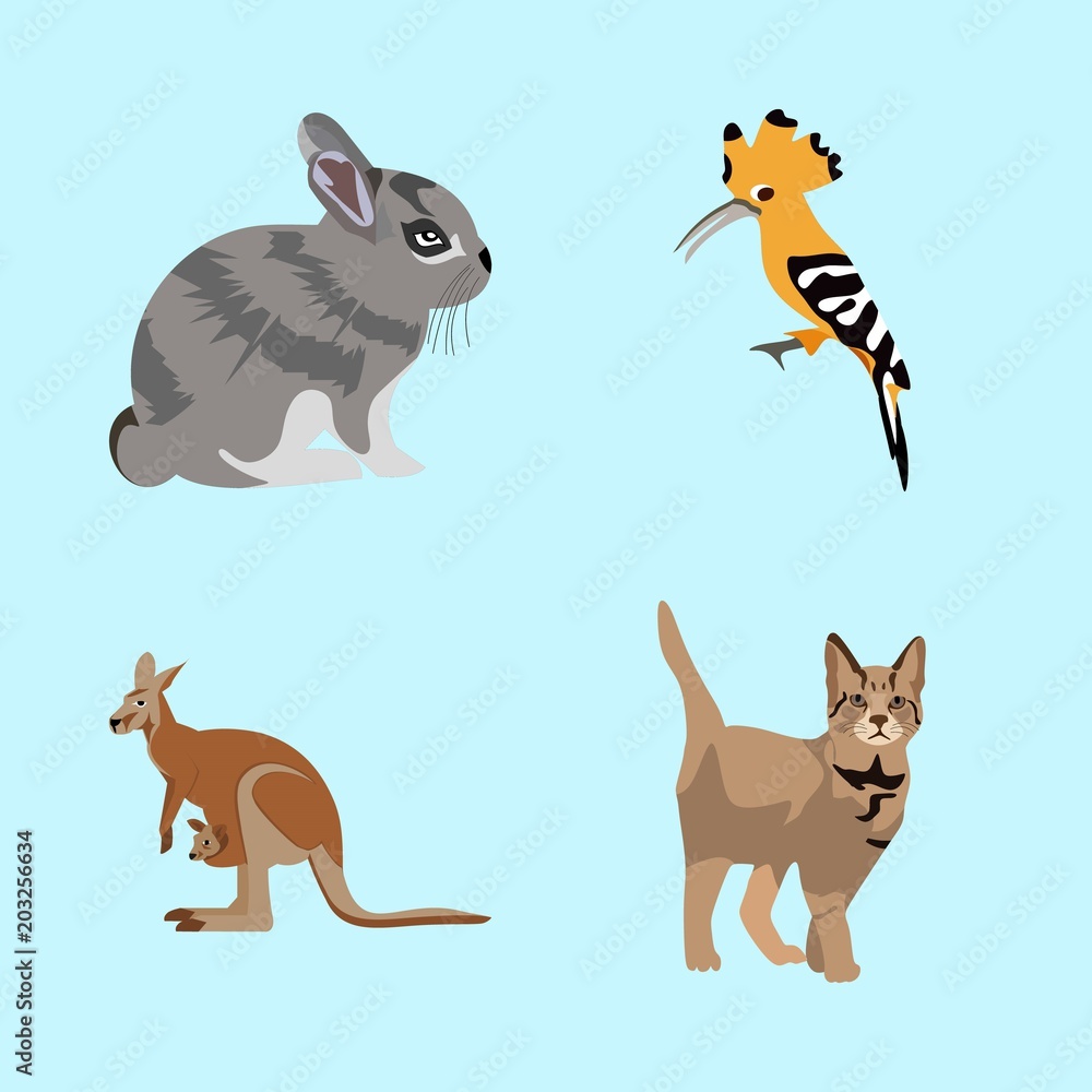 icons about Animal with white, ear, tail, beak and symbol