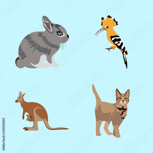 icons about Animal with white, ear, tail, beak and symbol © Orxan