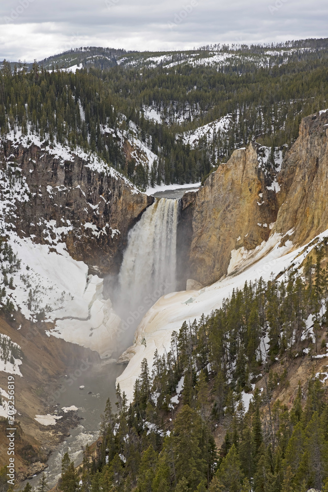 Waterfall at Yellowstone forest