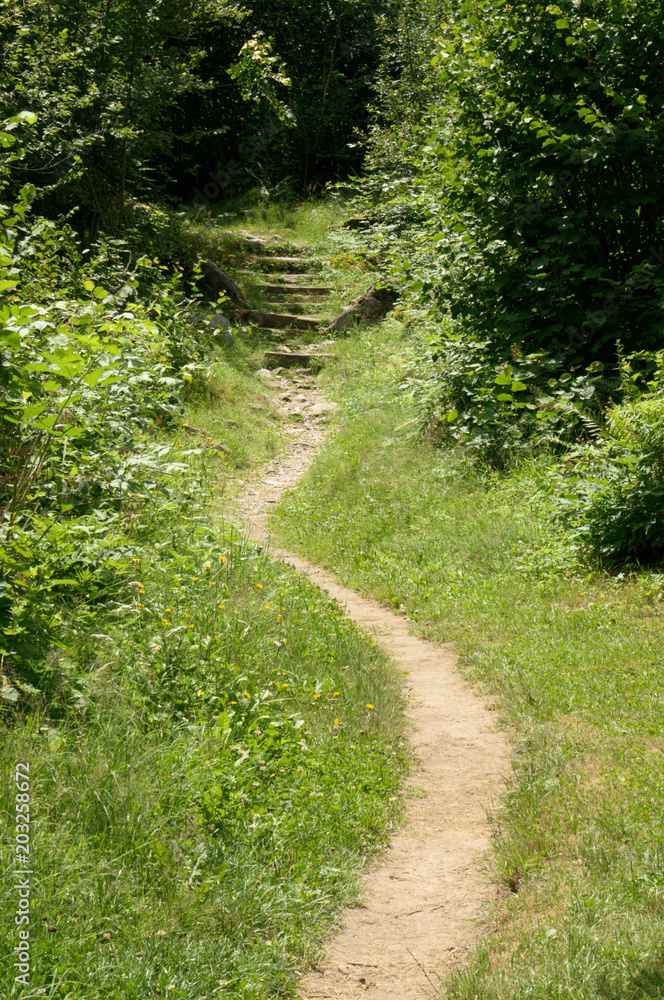 Steps in the Woods; part of the hiking trail along the Versasca river in Ticino Steps in the Woods; part of the hiking trail along the Versasca river in Ticino