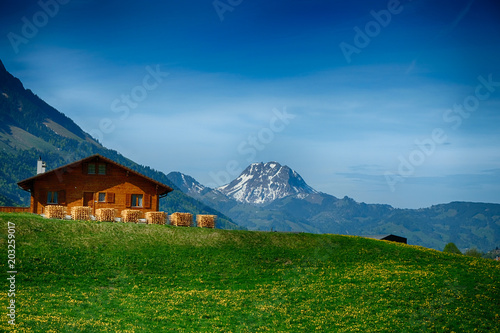 natural landscape in Switzerland