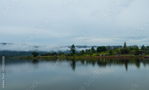 Fototapeta Naklejka Na Ścianę i Meble -  landscape after rain mist mountain river tree nature backgroud