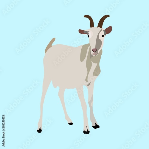 icons about Animal with domestic, pet, livestock, goat and natural