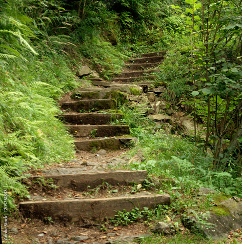 Valle Versasca Steps