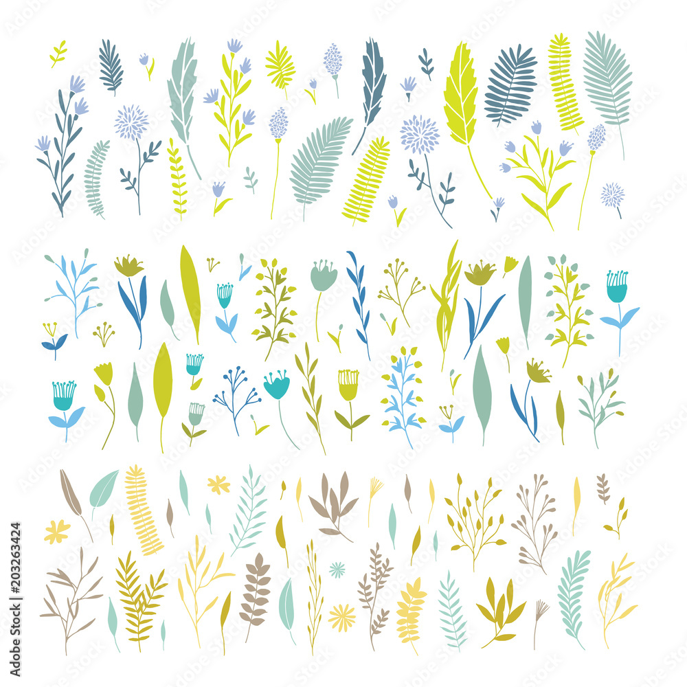 Vector floral set. Vector floral set.