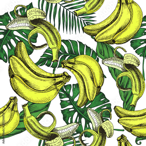 Vector sketch background fruit. Illustration banana and extic leafs pattern. photo