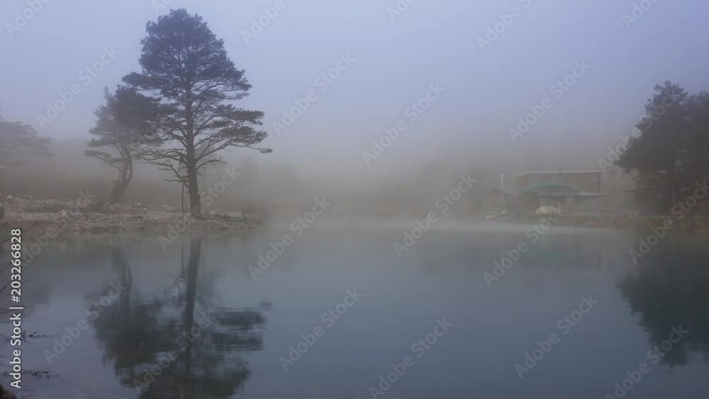 Landscape with forest lake and tree covered with thick fog
Landscape with forest lake and tree covered with thick fog