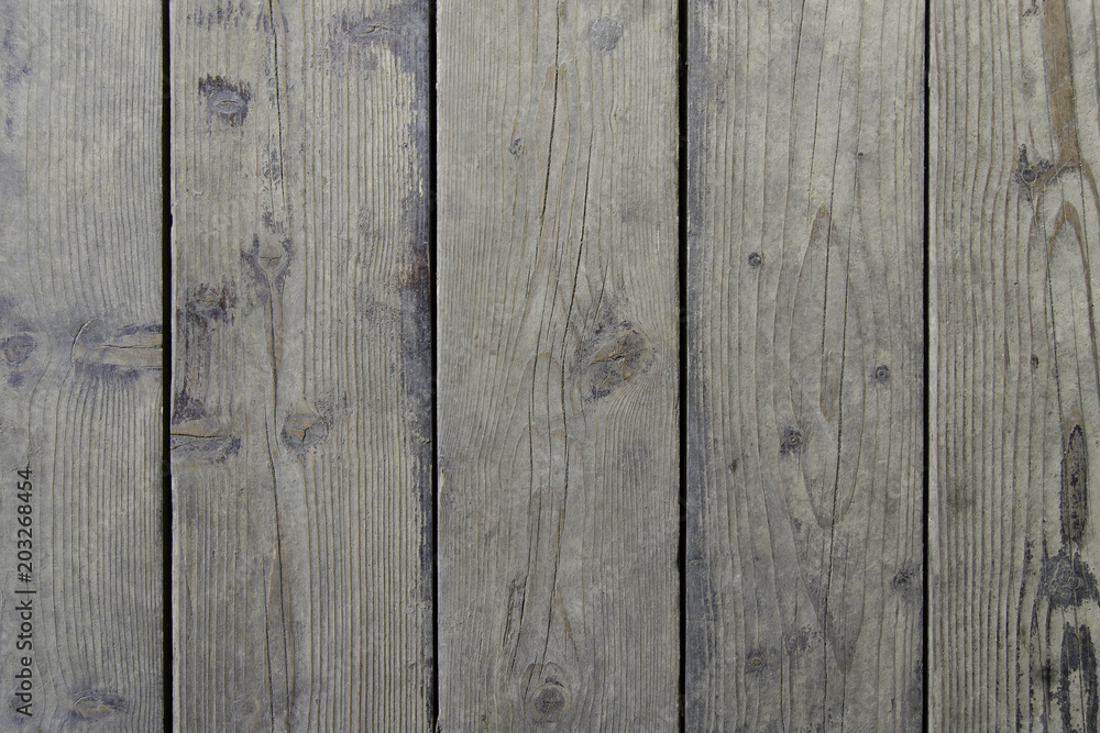 Obraz premium Grey wood texture background