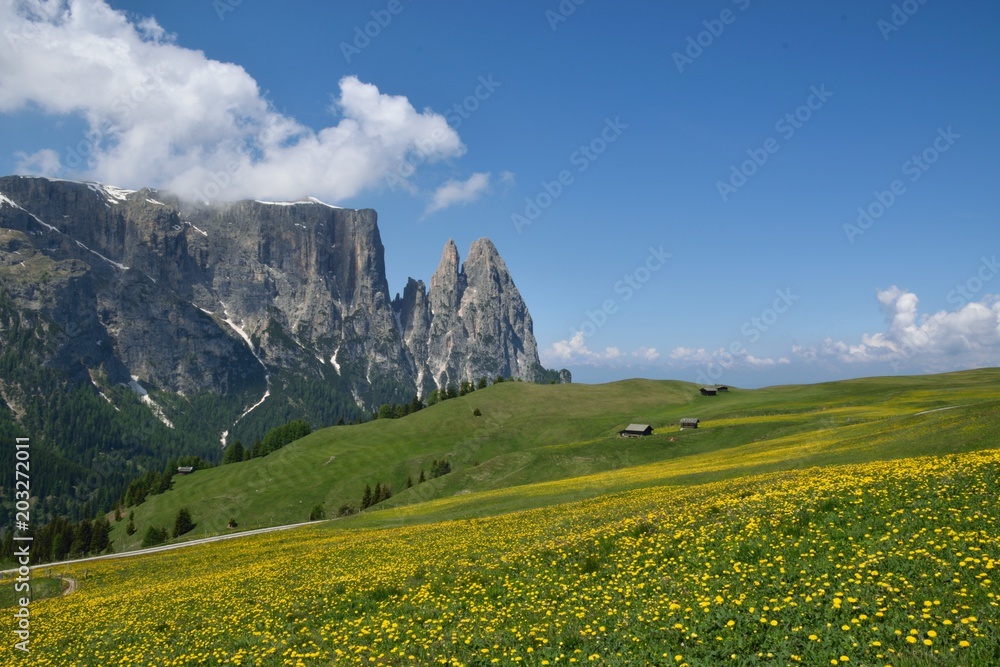 Panorama sulle montagne, grande prato fiorito 