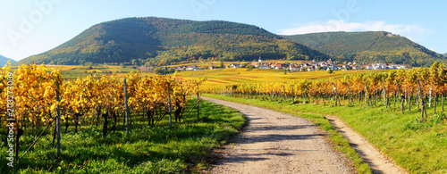 Weyher in der Pfalz Panorama im Herbst mit bunten Weinbergen
