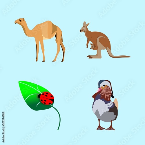 icons about Animal with vintage  leaf  wallaby  nature and travel