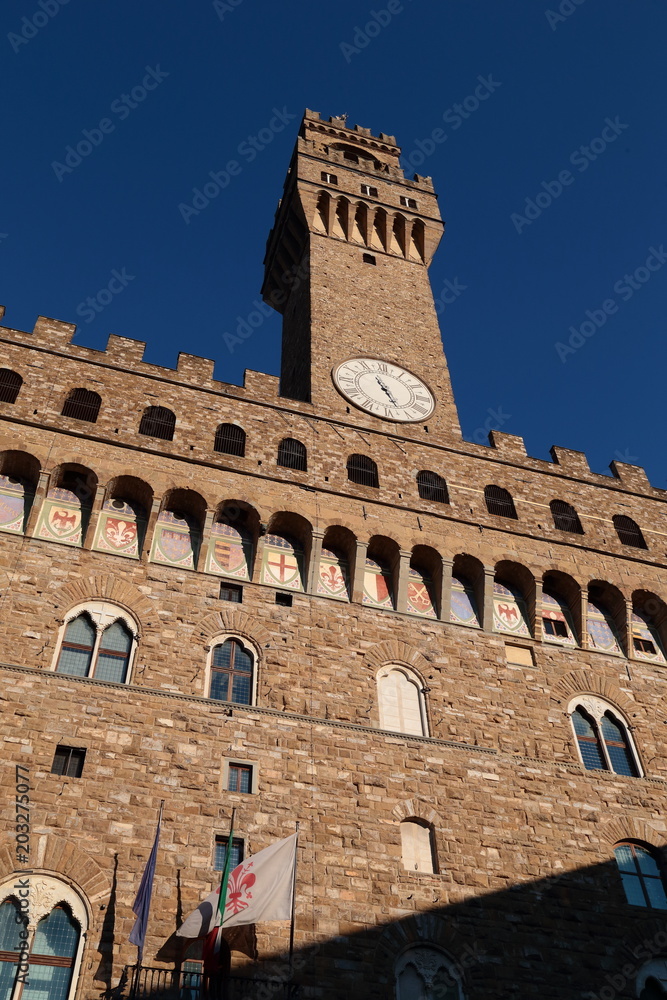Firenze  (Palazzo Vecchio)