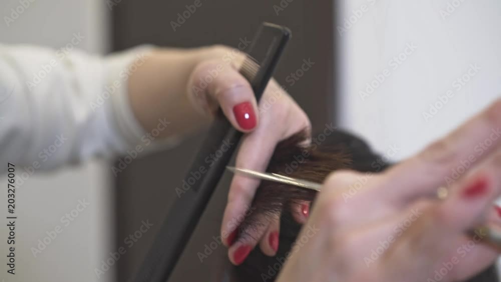 Hands of an unrecognizable professional hairdresser with red nail polish cutting long dark hair of her client. Handheld real time close up shot Hands of an unrecognizable professional hairdresser with red nail polish cutting long dark hair of her client. Handheld real time close up shot