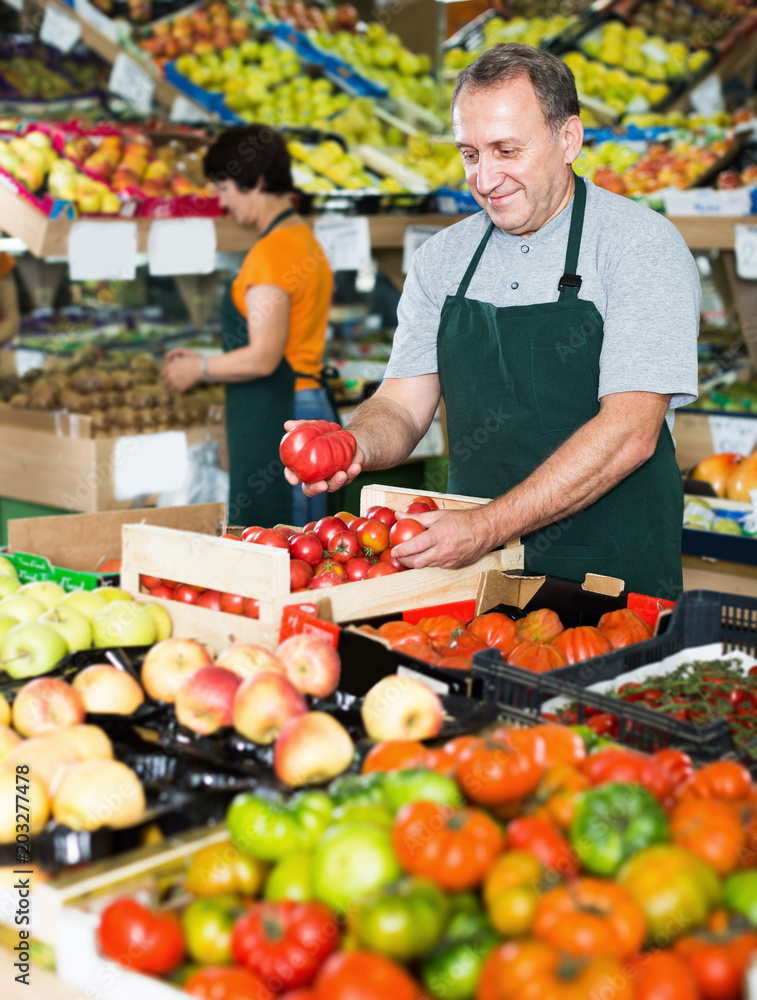 Man employee selecting tomatos in the hypermarket